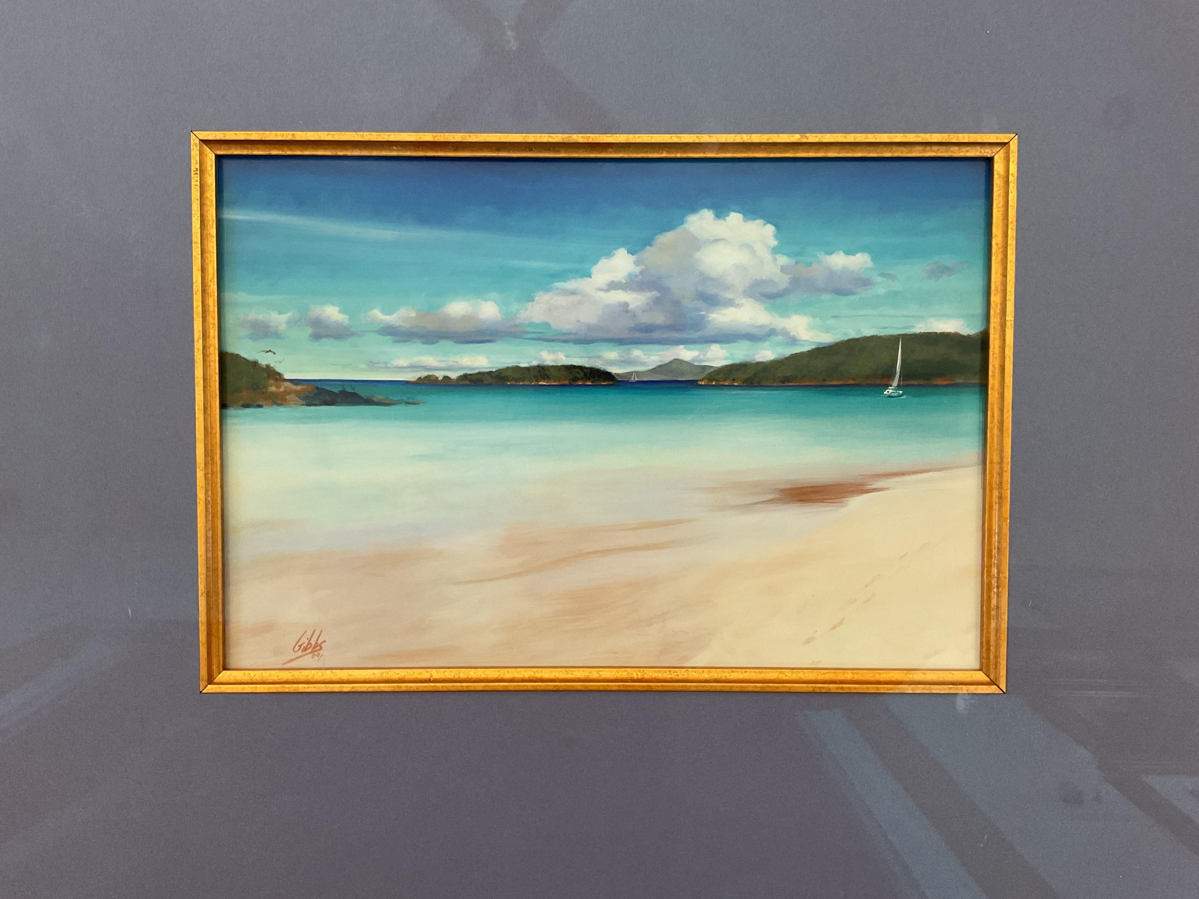 Bellissima foto di Cinnamon Bay, Isole Vergini, incorniciata dal noto artista Mitch Gibbs in vendita 1