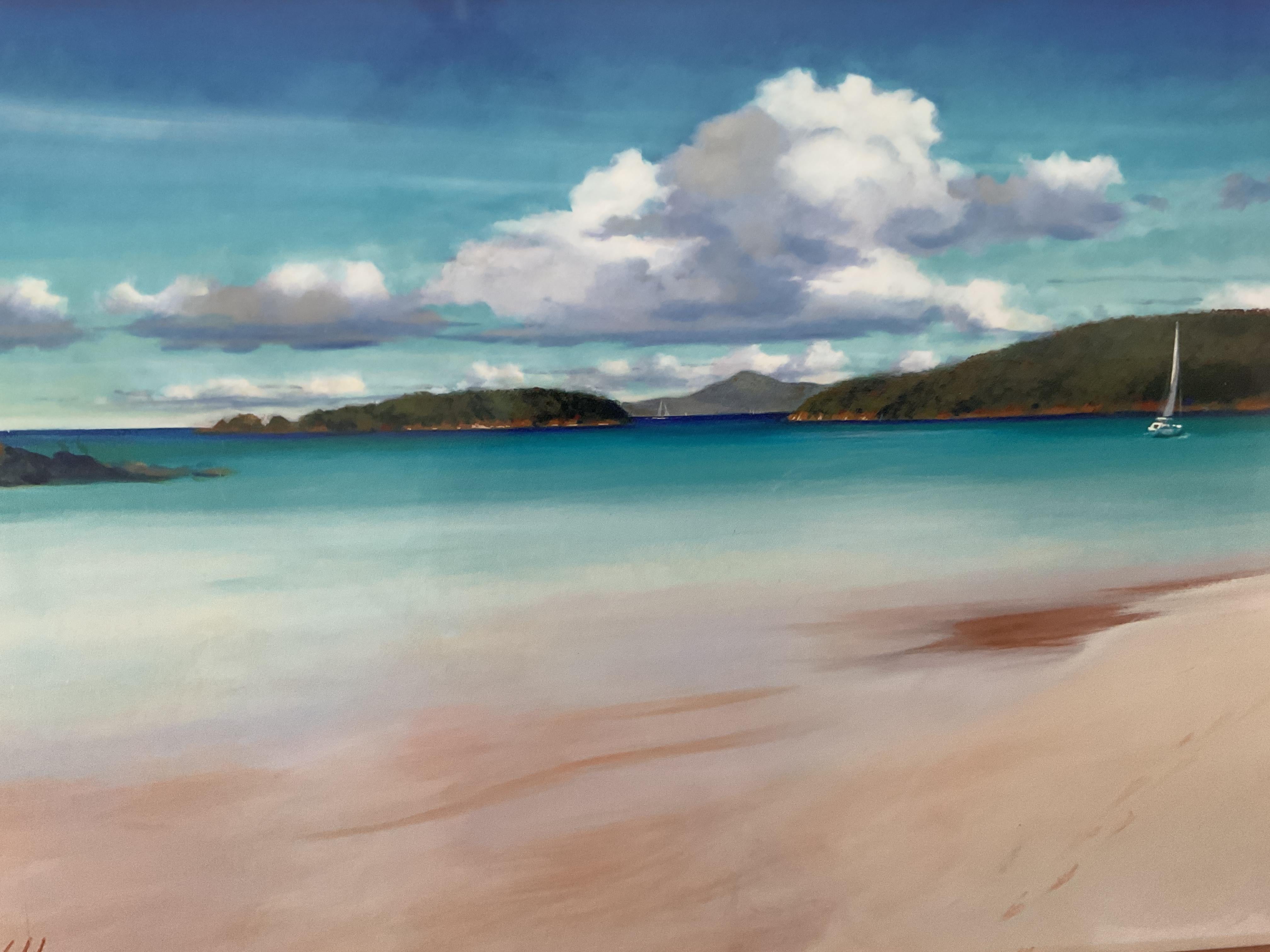 Bellissima foto di Cinnamon Bay, Isole Vergini, incorniciata dal noto artista Mitch Gibbs in vendita 2