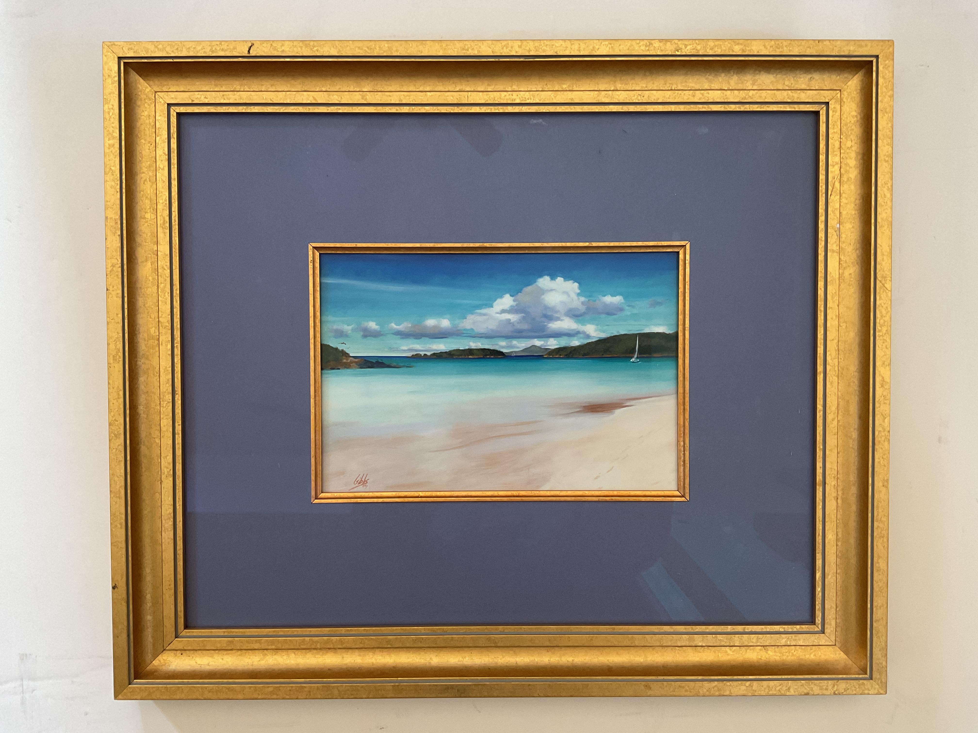 Beautiful Cinnamon Bay, Virgin Islands Framed Photo by noted artist Mitch Gibbs