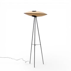 Lampada da terra in acciaio smaltato e fibra di vetro Mitchell Bobrick for Controlight