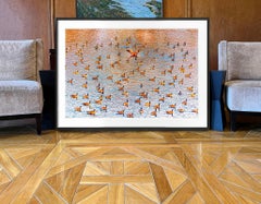 A Paddling of Ducks auf einem bernsteinfarbenen Cinnamon-Teich