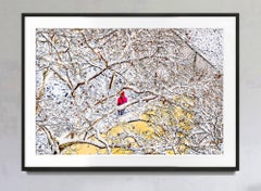 Abstract Winter Scene with Single Figure in Red Coat