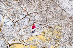 Abstract Winter Scene with Single Figure in Red Coat