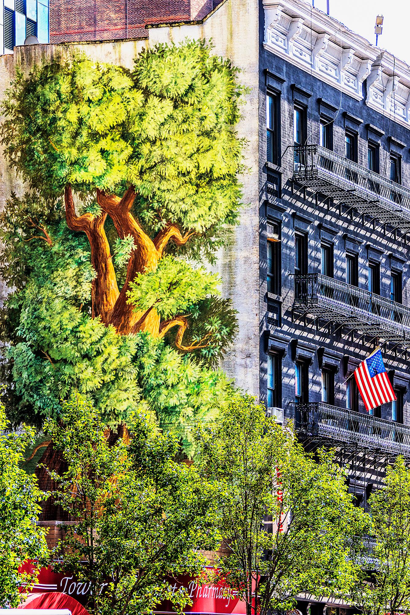 Mitchell Funk Color Photograph - American Flag Swaying from a New York City Building With Graffiti Wall Art