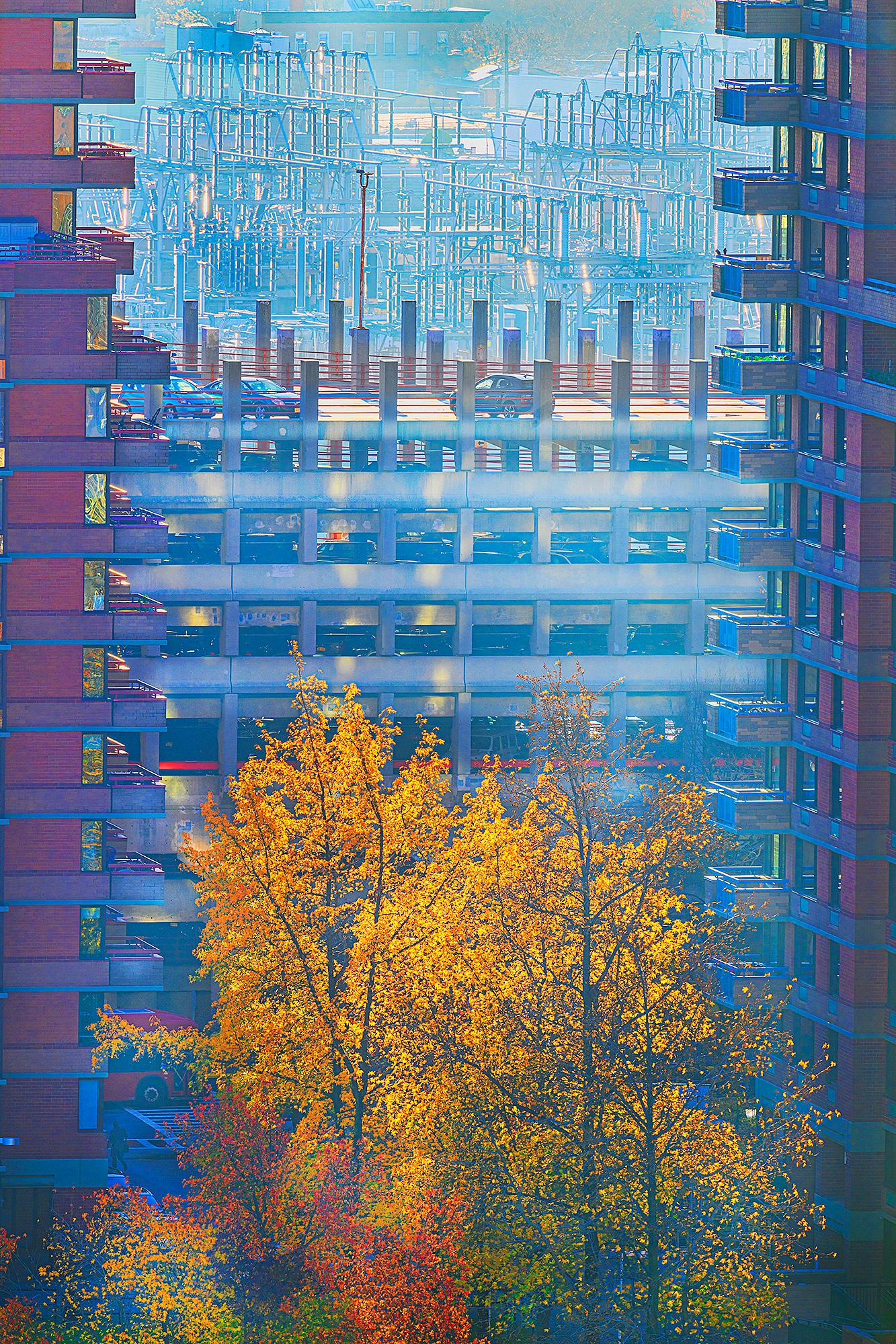 Mitchell Funk Landscape Photograph – Herbstfarben in New York City, als orangefarbener Bäume in die Skyline fliegen 