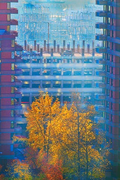 Couleurs d'automne à New York prenant le dessus des arbres orange 