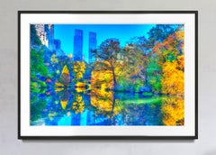 Autunno a Central Park con il fogliame autunnale