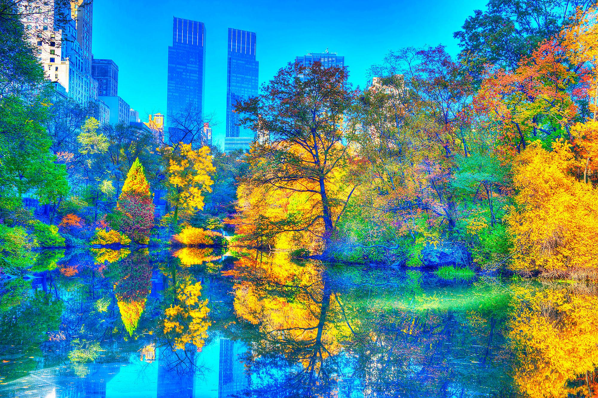 Mitchell Funk Landscape Photograph - Autumn in Central Park with Fall Foliage