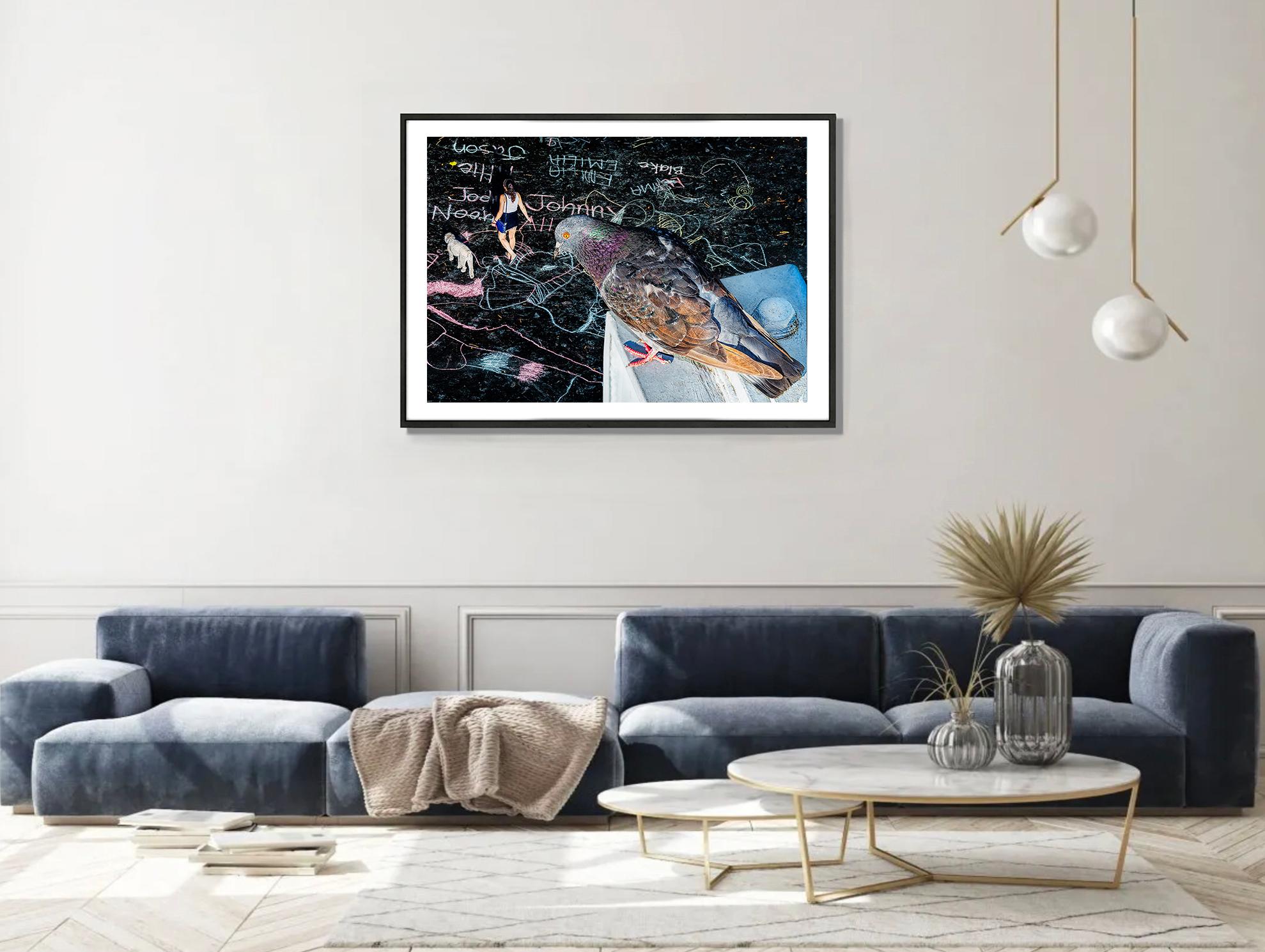 Vue d'oiseau -  Nouveau  Street Art de York City avec un connaisseur de pigeon - Noir Landscape Photograph par Mitchell Funk