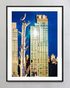 Birds Eye View Of New York City. Fine Art Print Hahnemuhle Paper Baryta