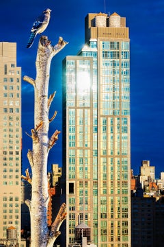 Birds Eye View Of New York City. Fine Art Print Hahnemuhle Paper Baryta