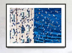 Birds in Flight over Manhattan - Minimalist Photography