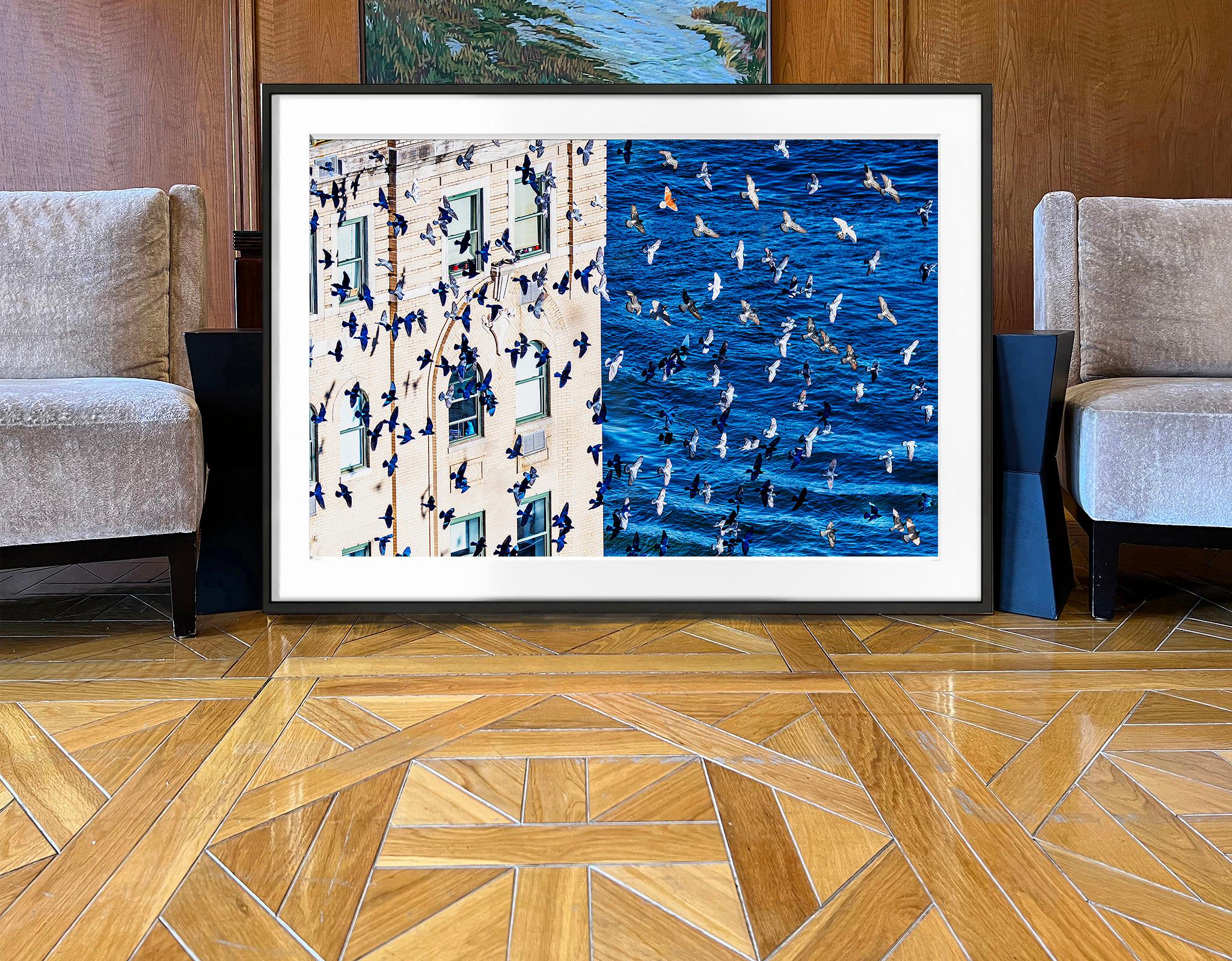 Vögel im Flug über Manhattan – Minimalistische Fotografie (Blau), Abstract Photograph, von Mitchell Funk