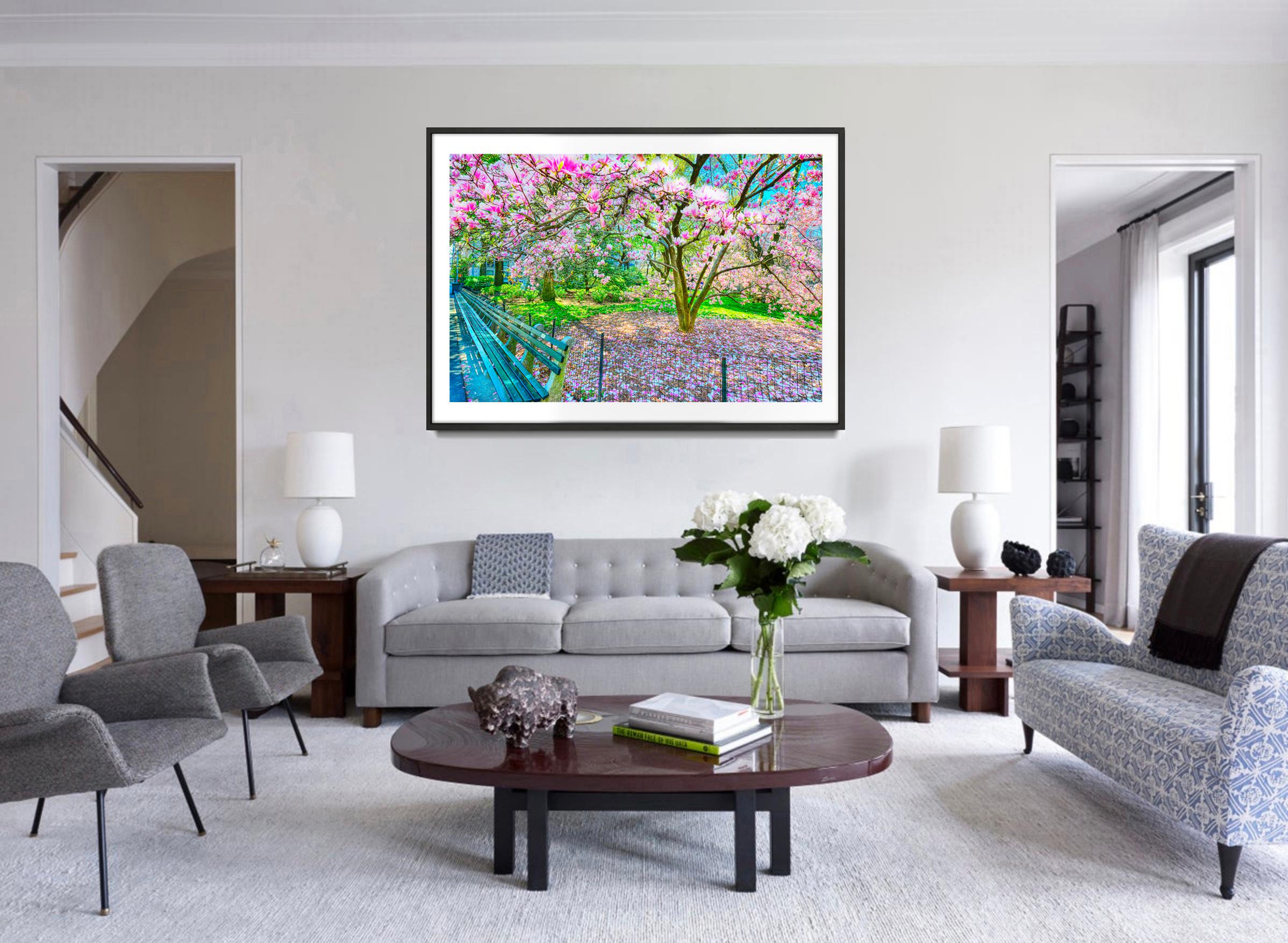 L'arbre en fleurs de Magnolia au printemps, Central Park  New York City en roses et bleus - Post-impressionnisme Photograph par Mitchell Funk