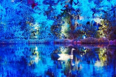 Blue Duck Fantasy - Le monde des contes de fées