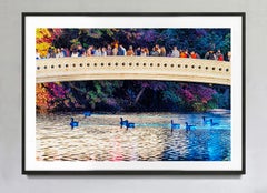 Bow Bridge Ducks in Central Park, Color Photography, Signed, 29x43\"