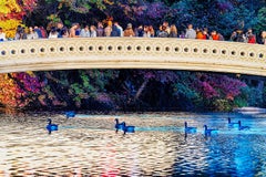 Bow Bridge Ducks in Central Park, Color Photography, Signed, 29x43\"