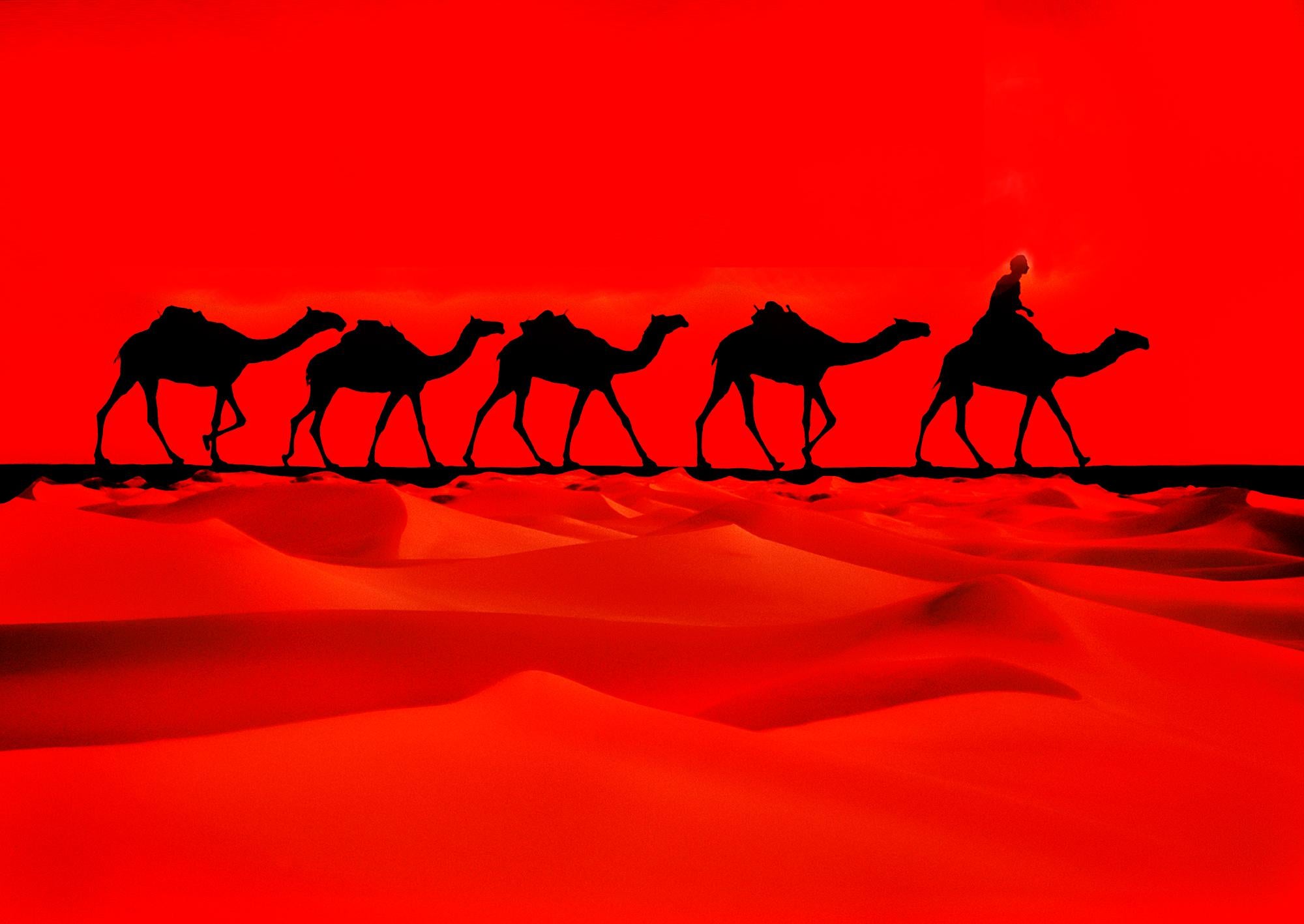 Mitchell Funk Color Photograph - Camel Caravan