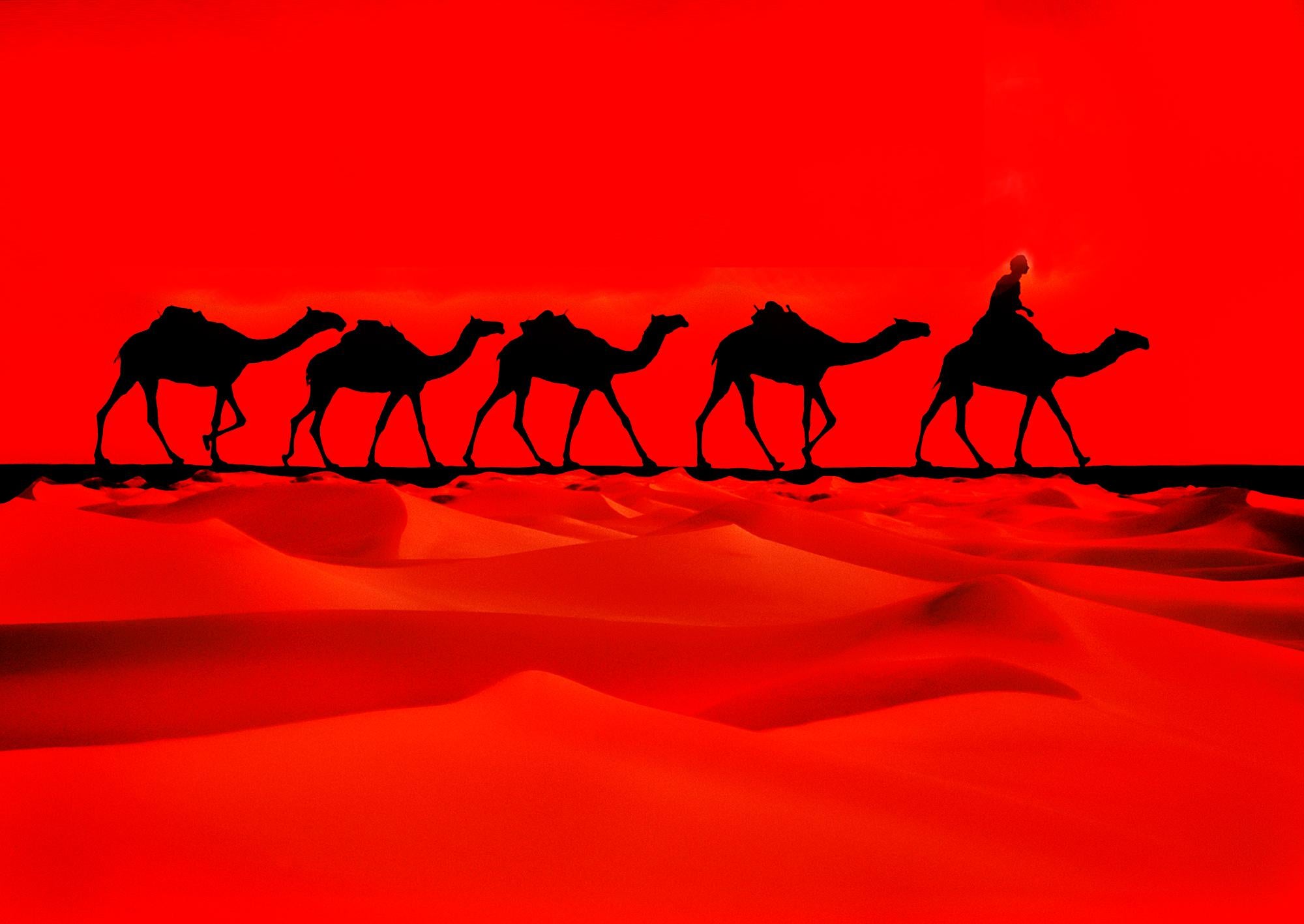Caravane de chameaux