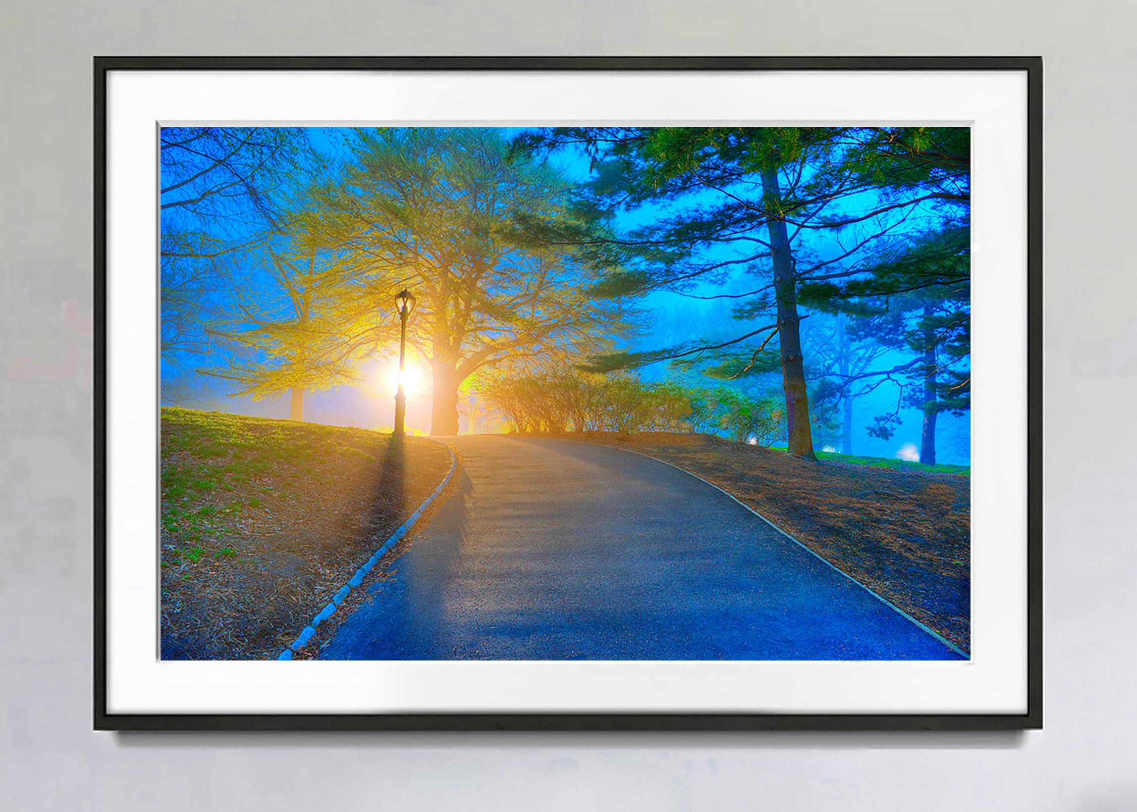 Central Park at Dawn, erstes Licht in Blau und Gelb, Mist – Photograph von Mitchell Funk