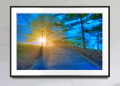 Central Park at Dawn First Light in Blue and Yellow Mist, Fine Art Photography