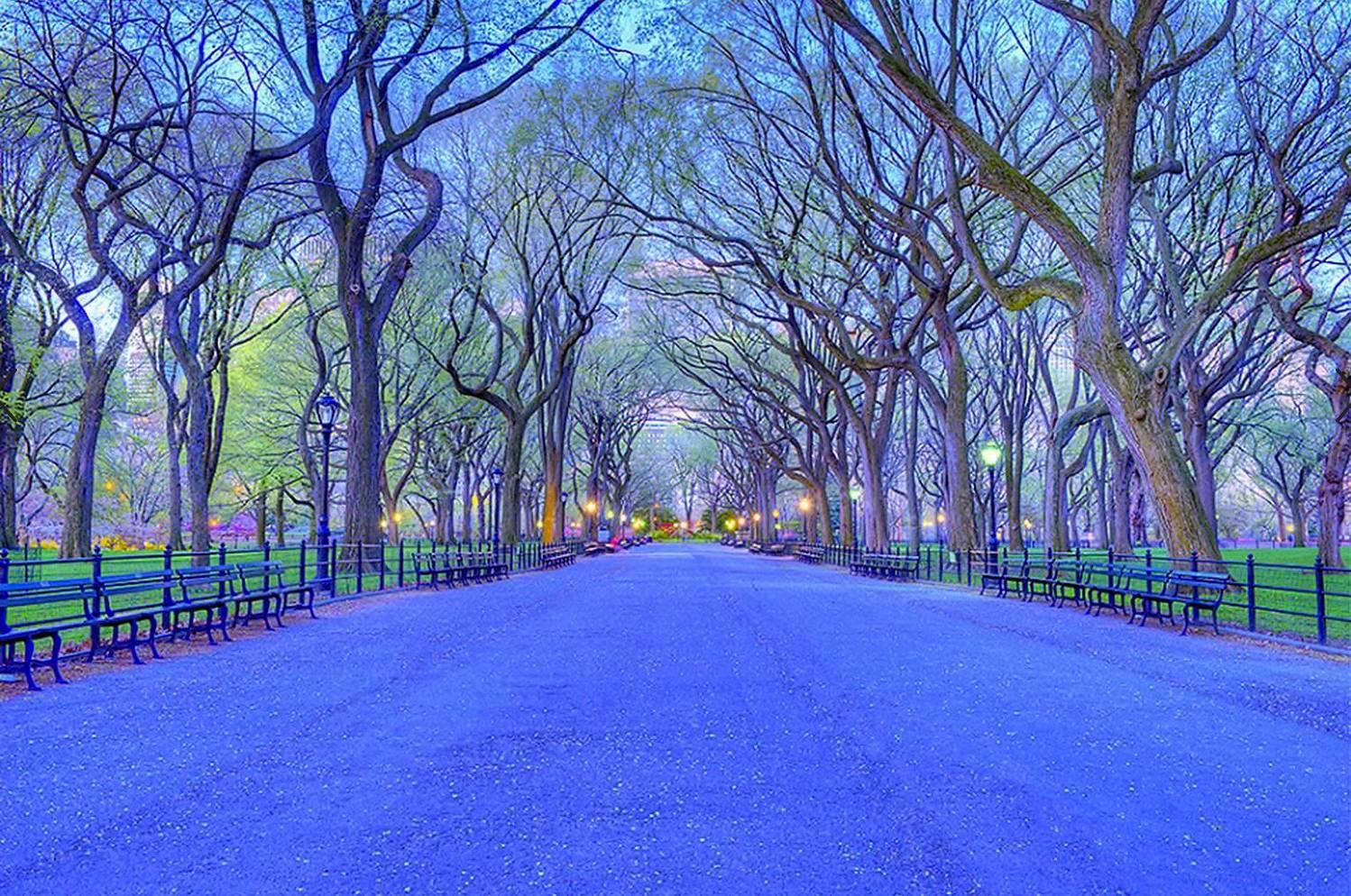Mitchell Funk Landscape Photograph - Central Park Blue