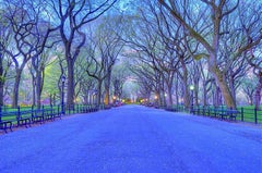 Central Park Blue