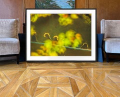 Central Park Bow Bridge with Silhouetted Figures Post-Impressionist Golden Light