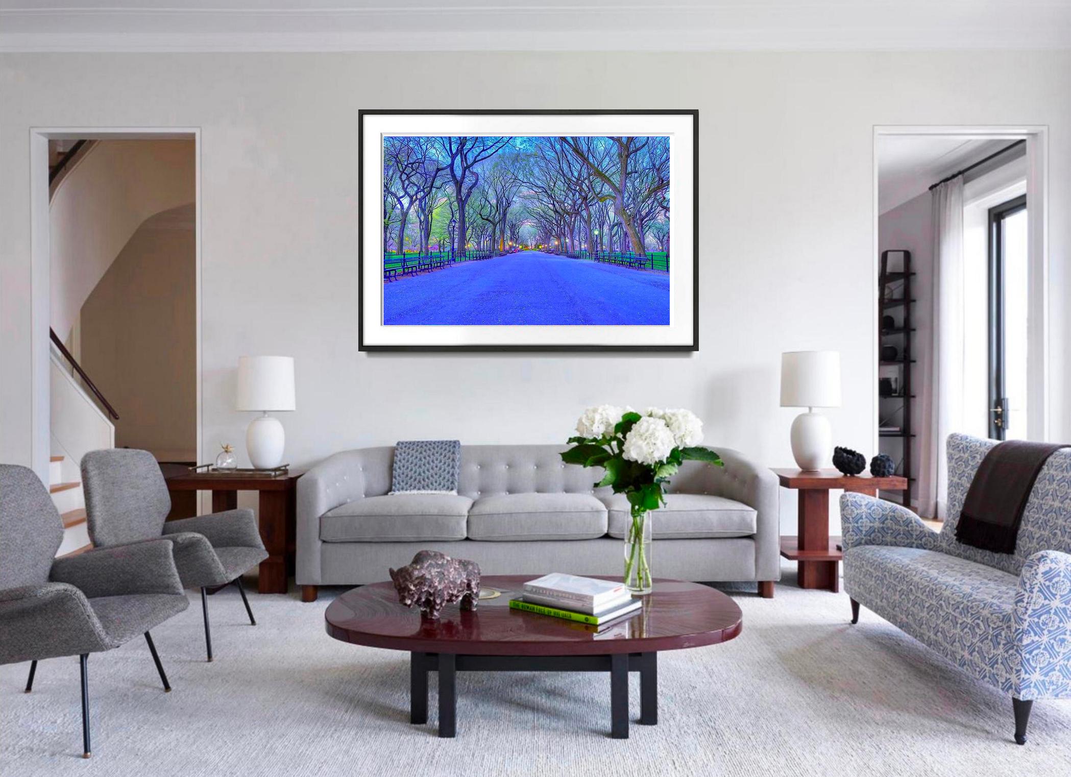 Central Park in blu - Photograph di Mitchell Funk