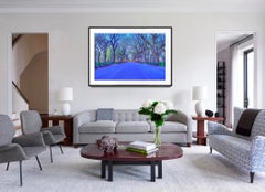 Central Park en azul