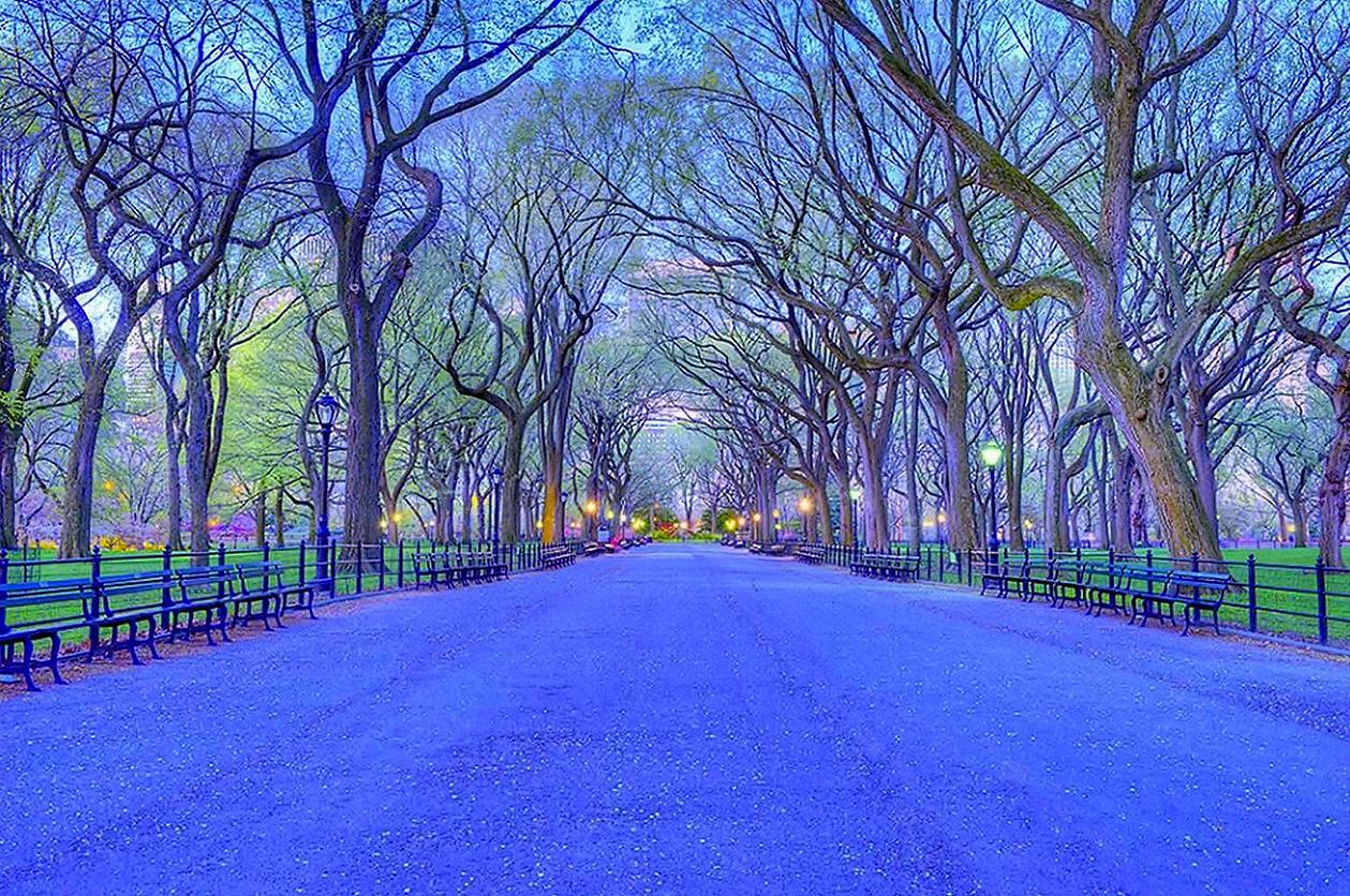 Landscape Photograph Mitchell Funk - Central Park en bleu