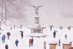 Central Park in Snow Bethesda Fountain with Monochromatic Color Scheme 