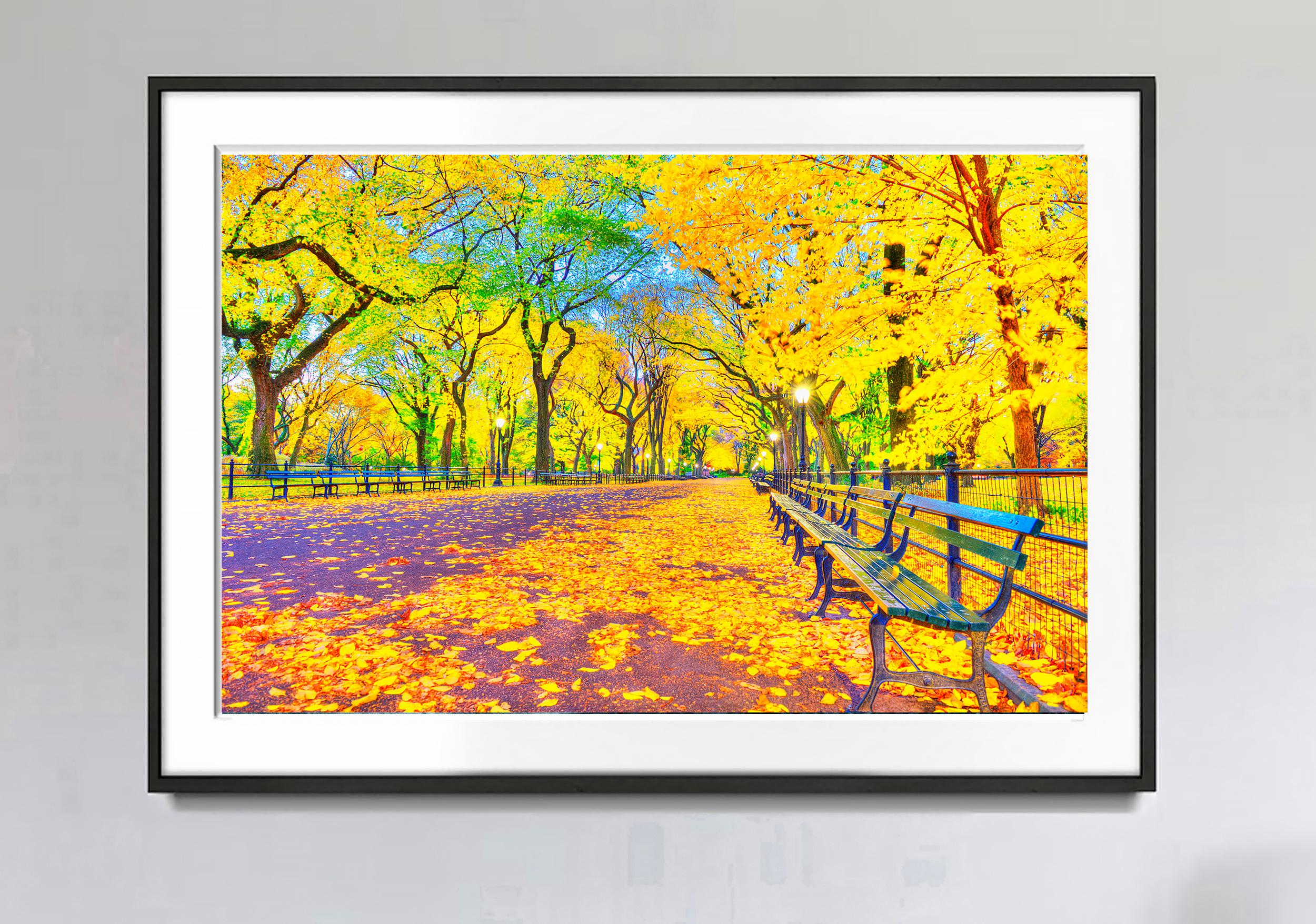 Central Park Mall with Yellow Autumn Leaves Elm Trees Post-Impressionist  - Photograph by Mitchell Funk