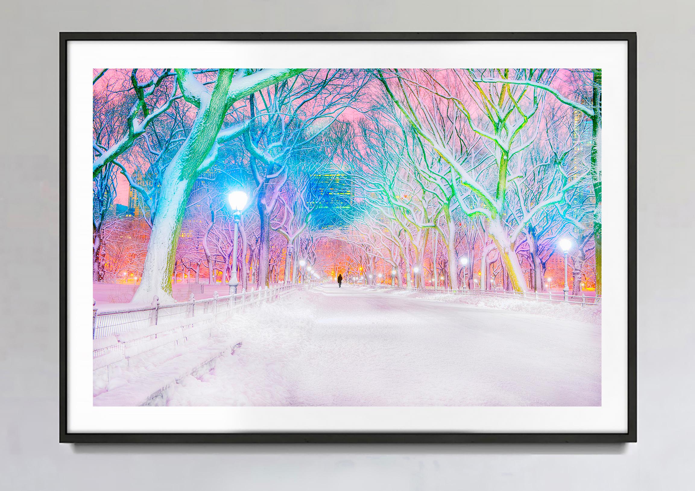 Central Park Pink Dawn In Snowstorm, New York City - Photograph by Mitchell Funk