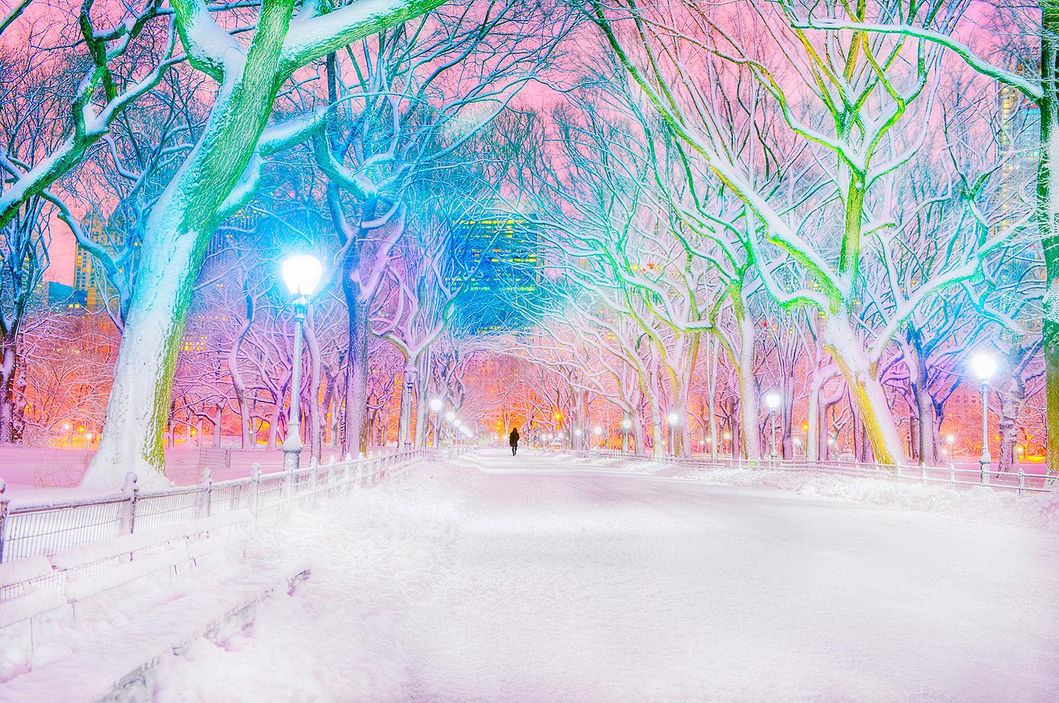 Central Park Pink Dawn In Snowstorm, New York City