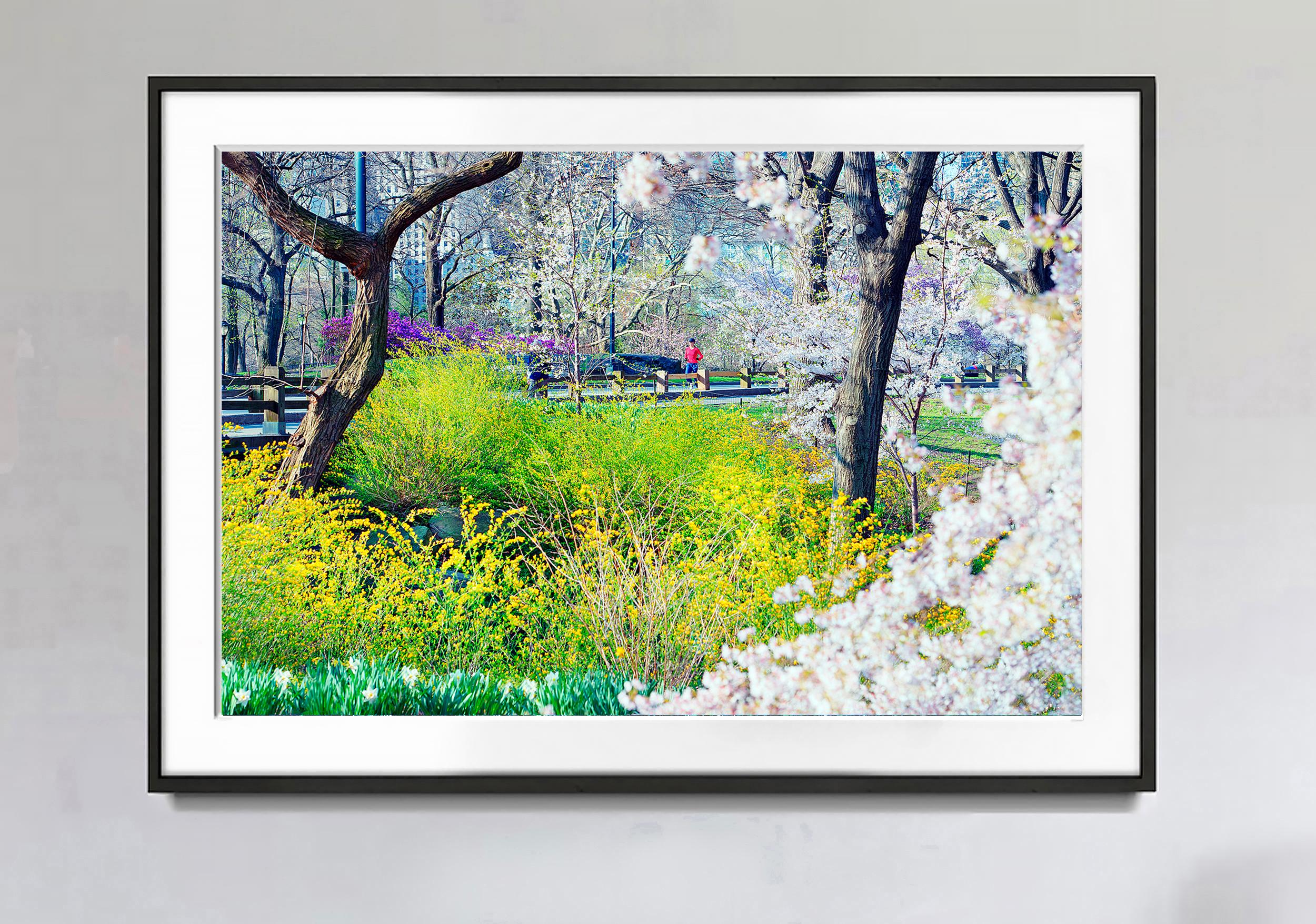 Central Park-Läufer und Blumen  – Photograph von Mitchell Funk