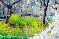 Central Park Runner and Flowers 