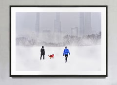 Sheep Meadow a Central Park ricoperto di neve, stampa artistica su carta Hahnemühle