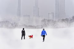 Die mit Schnee bedeckte Sheep Meadow im Central Park, Kunstdruck auf Hahnemühle-Papier