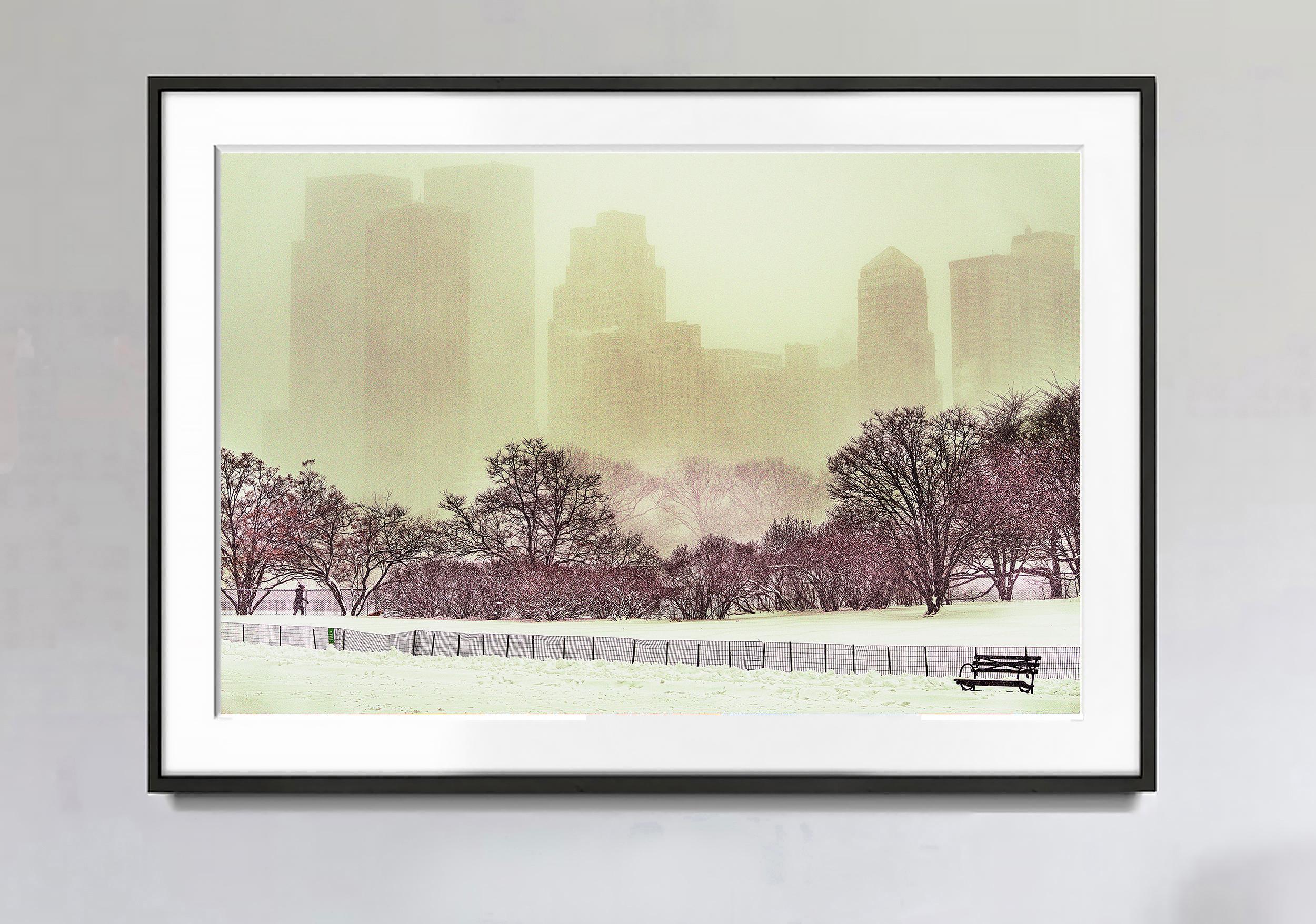 Schneesturm im Central Park, von Mitchell  Funk, Landschaftsfotografie, Impressionismus – Photograph von Mitchell Funk