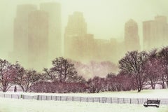Central Park Snow Storm, By Mitchell  Funk, Landscape Photography, Impressionism