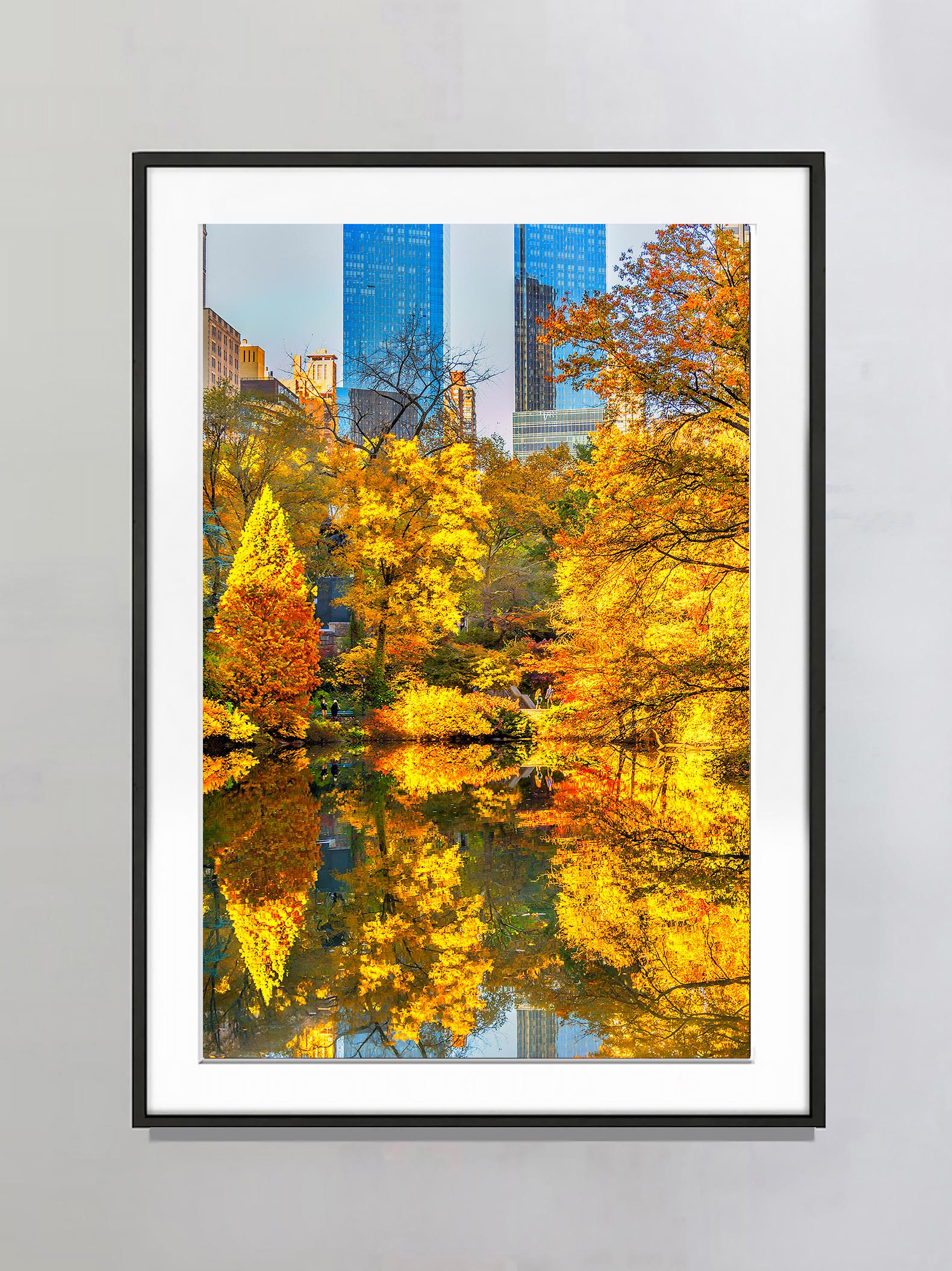 Der Central Park South erstrahlt in herbstlichen Gelbtönen und sanften Brauntönen – Photograph von Mitchell Funk