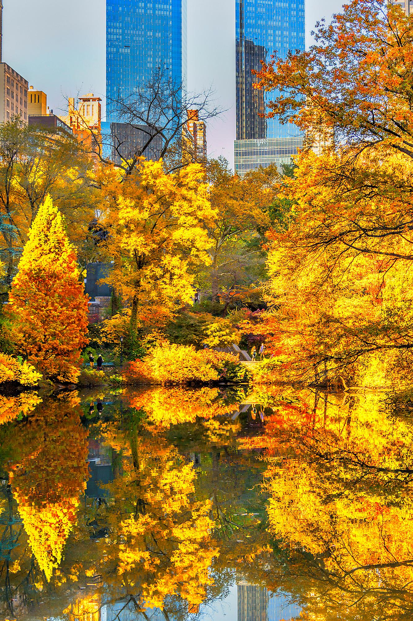 Mitchell Funk Landscape Photograph – Der Central Park South erstrahlt in herbstlichen Gelbtönen und sanften Brauntönen