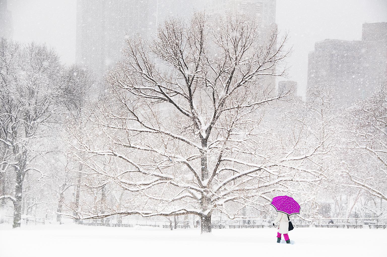 Mitchell Funk Landscape Photograph – Central Park: Schirm im Schnee