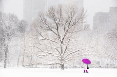 Central Park : Parapluie dans la neige