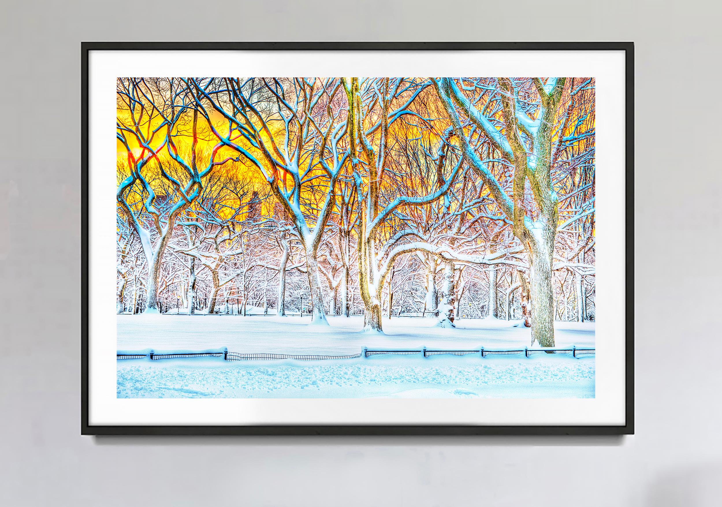 Central Park Winter Scene,  Charles Burchfield-esque Landscape - Photograph by Mitchell Funk
