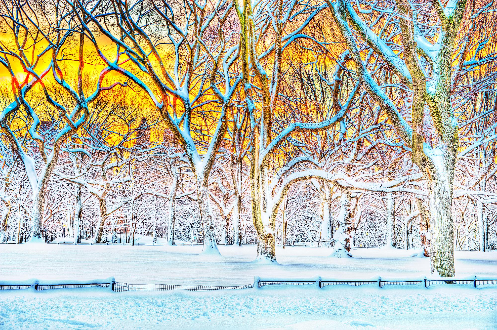 Mitchell Funk Landscape Photograph – Central Park-Winterszene,  Burchfield-ähnliche Landschaft