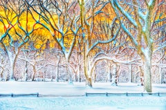 Central Park Winter Scene,  Charles Burchfield-esque Landscape