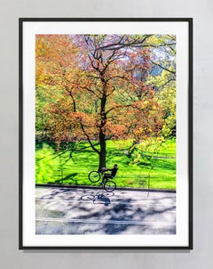 Central Park, stampa artistica a colori raffigurante un ragazzo che fa l’impennata in bici, edizione 3/15