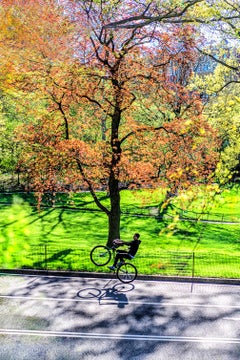 Central Park, stampa artistica a colori raffigurante un ragazzo che fa l’impennata in bici, edizione 3/15